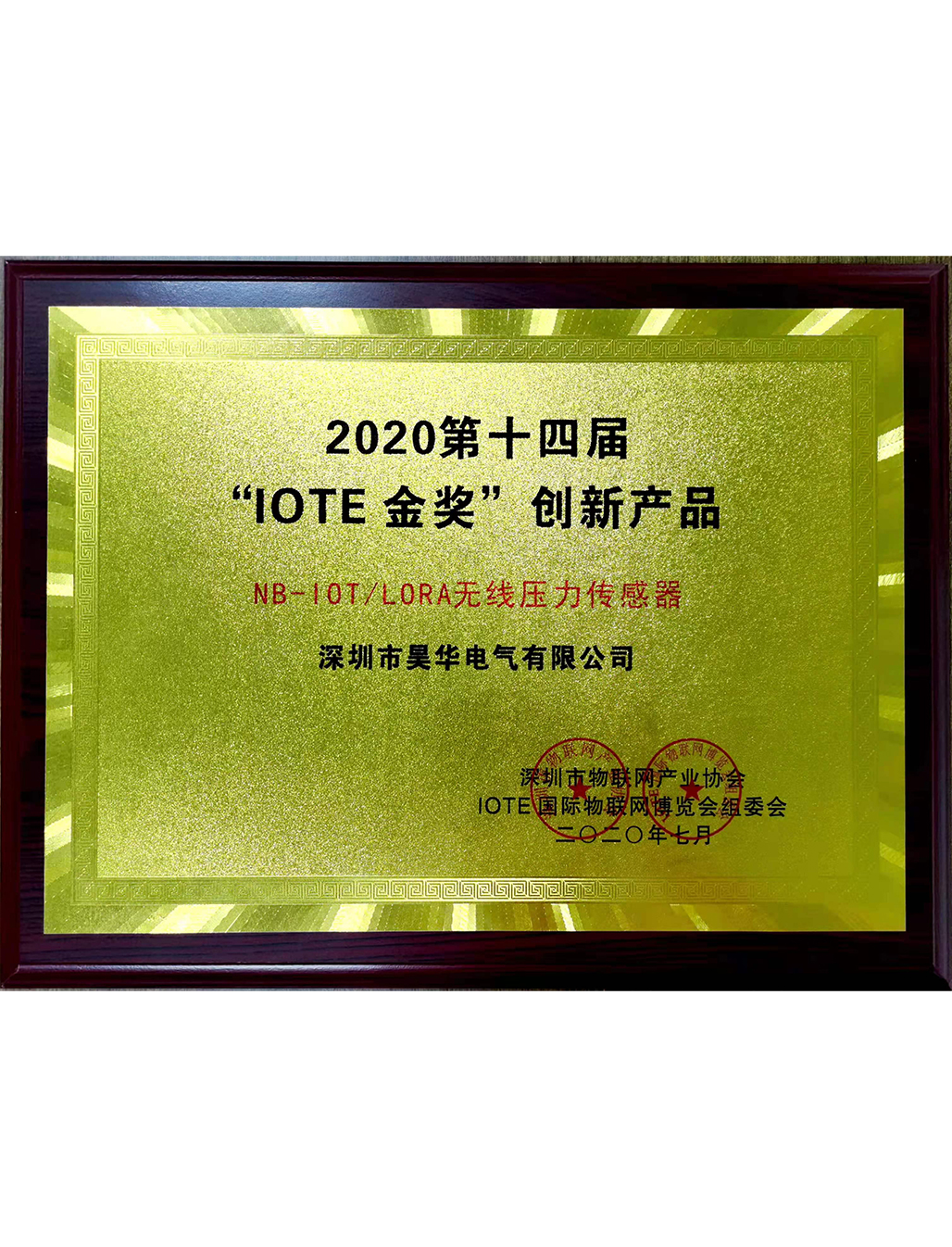 2020第十四屆“IOTE金獎”創(chuàng)新產(chǎn)品 NB-10T/LORA無線壓力傳感器
